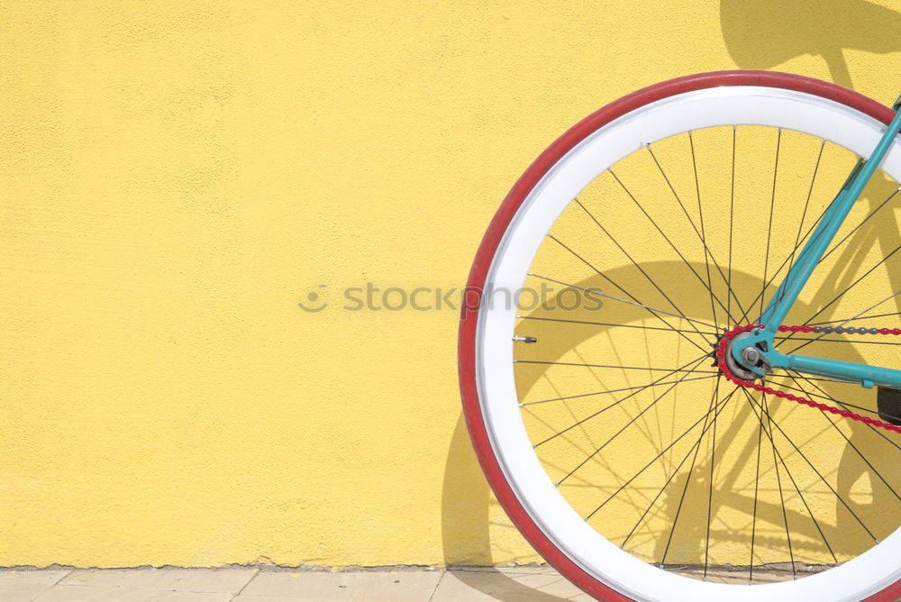 Vintage biike ( fixie )