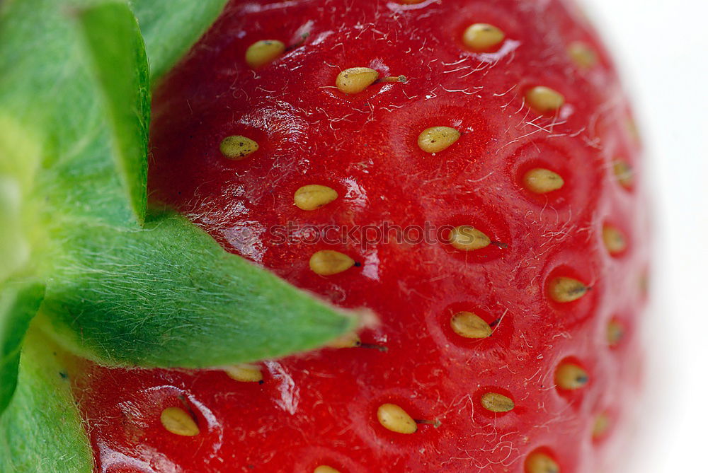 Similar – Image, Stock Photo A strawberry Colour photo