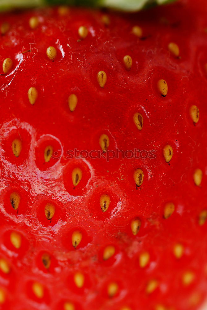 Similar – Foto Bild Erdbeeren 02 Sekt Prosecco