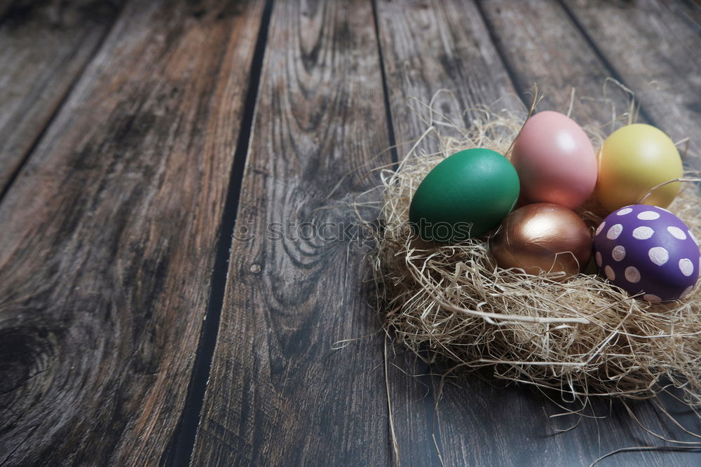 Similar – Easter eggs in hay nest on a rustic wooden background