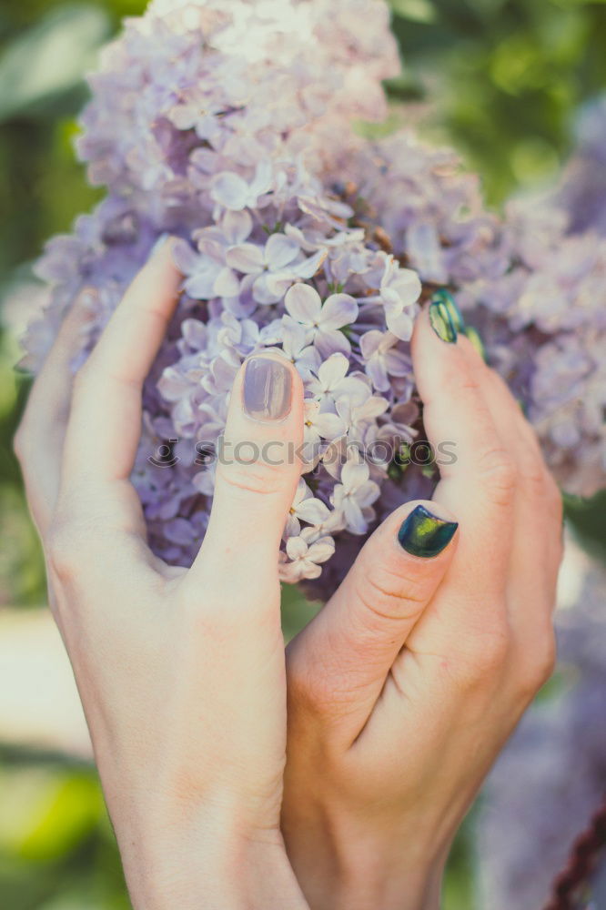 Similar – Female hands make autumn flowers decoration