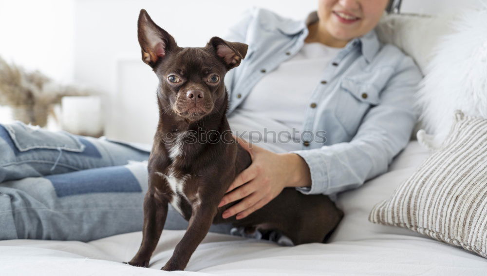 Similar – Image, Stock Photo Woman and dog relaxing at home