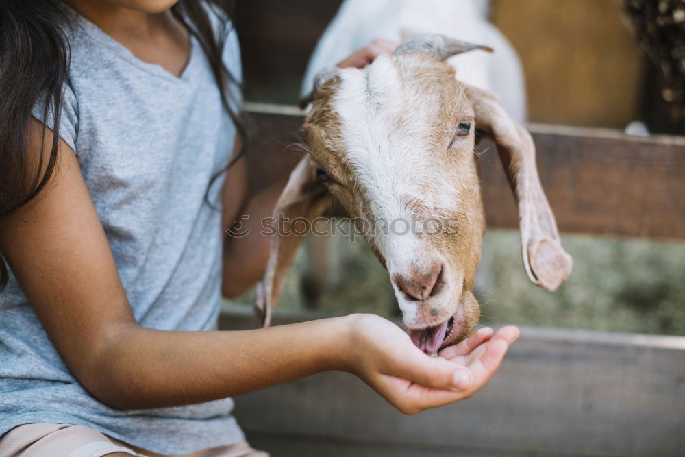 Similar – Image, Stock Photo Kid with animal Lifestyle