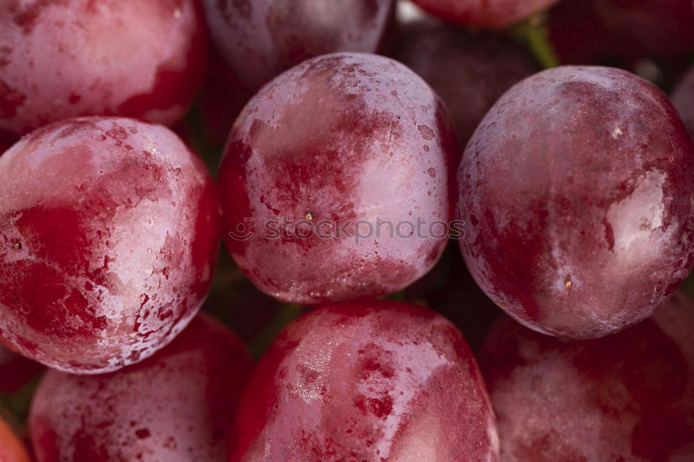 Similar – Image, Stock Photo Frozen cherries Food Fruit