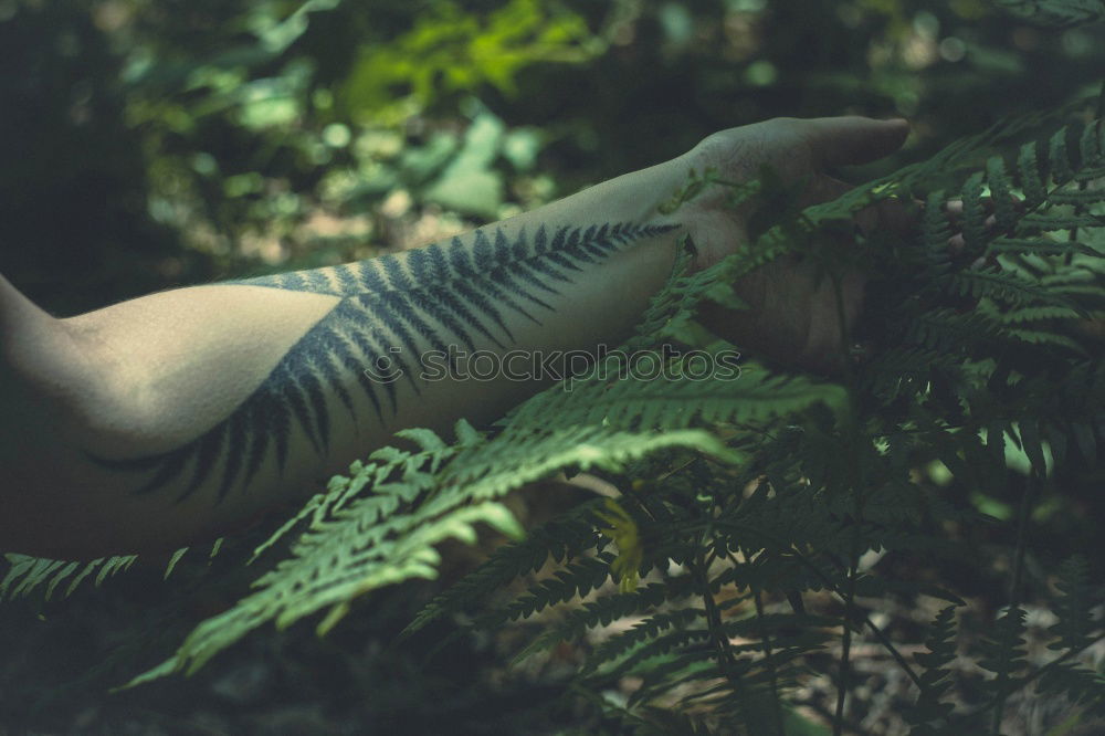 Similar – Young woman with turquoise hair sits barefoot in beach forest leaning against tree and looks skeptically at camera