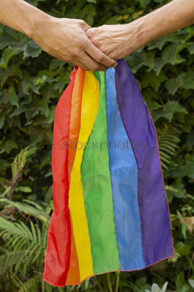 Similar – Image, Stock Photo Woman holding the Gay Rainbow Flag on green meadow outdoor