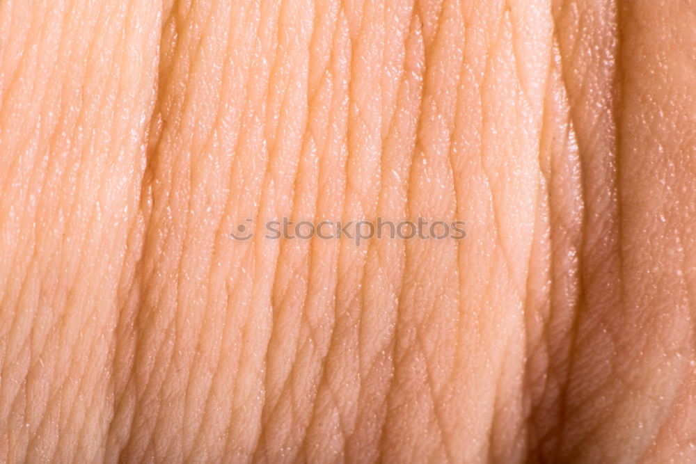 Similar – Image, Stock Photo Skin thing. Joint