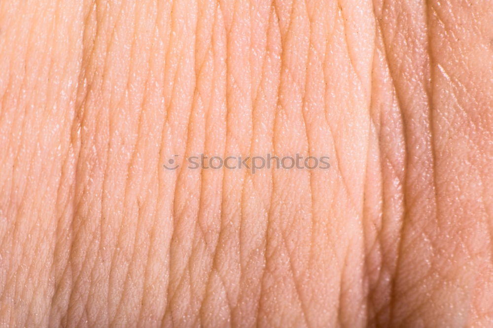 Human skin close up Body