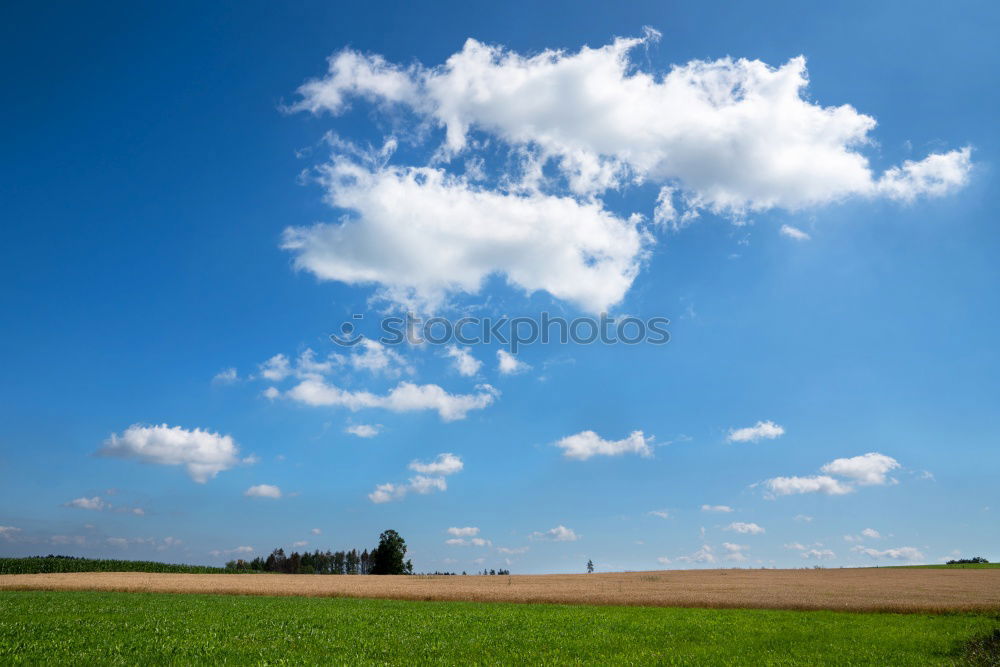 Similar – Looking over the fence