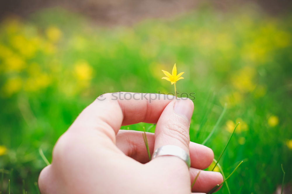 Similar – Image, Stock Photo Mother’s Day Well-being