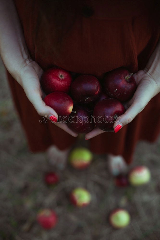 Image, Stock Photo more apples Fruit Apple