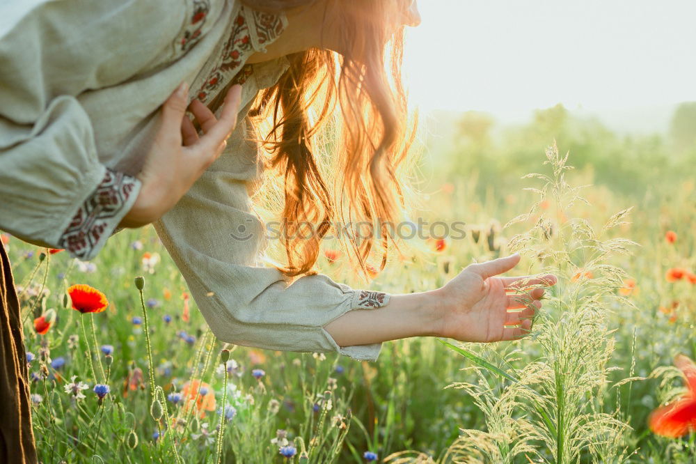 Similar – Beautieful young girl in the field of wild flowers