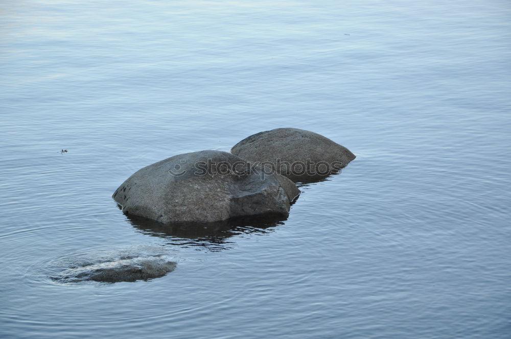 Similar – Image, Stock Photo deep sleep Winter Ice