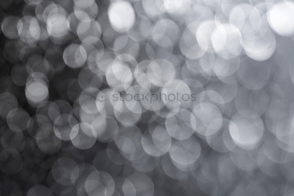 Similar – Image, Stock Photo Bouquet [Bokeh] in wintergreen