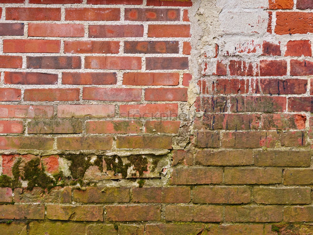 Similar – Image, Stock Photo white bank on a green wall