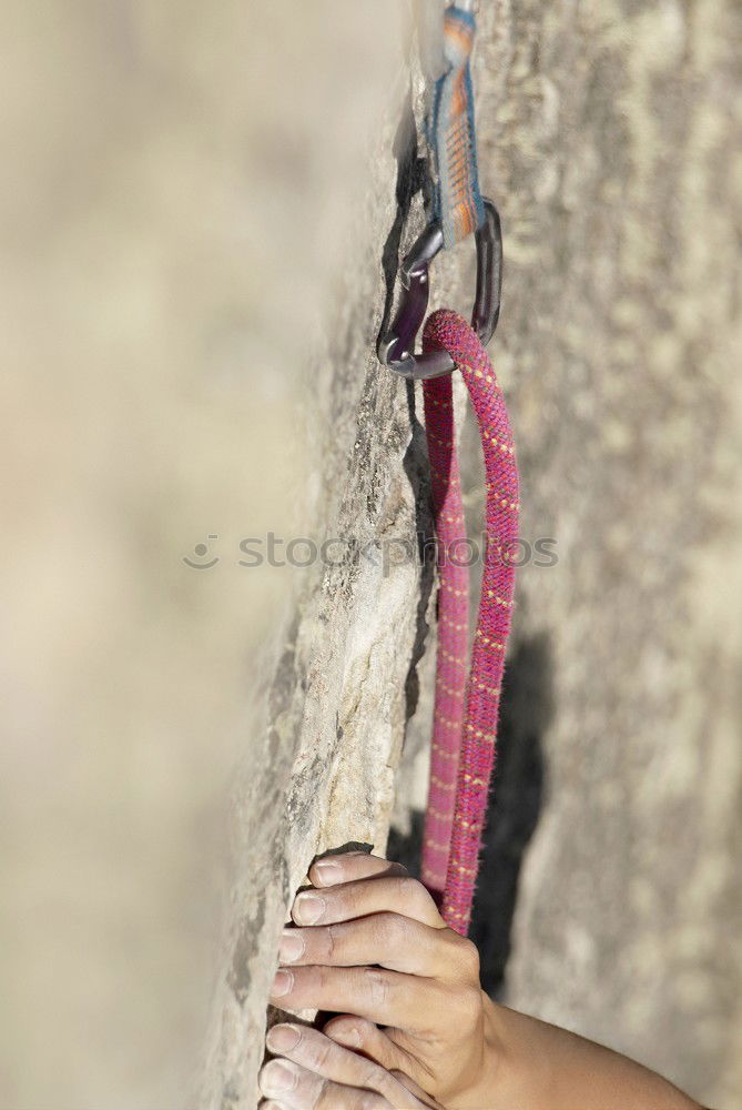 Similar – Foto Bild Vergänglichkeit. Hand