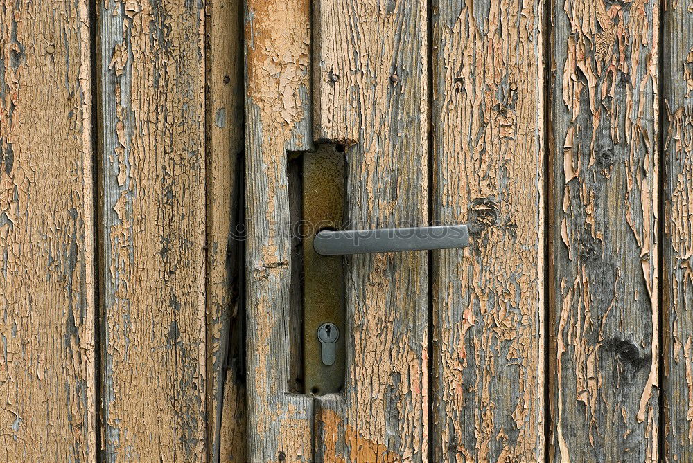 Similar – Image, Stock Photo mysterious Wood