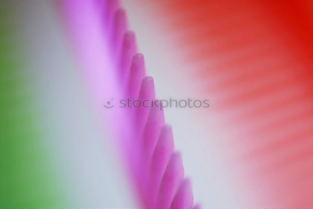 Similar – Image, Stock Photo teardrop(s) Nature Flower