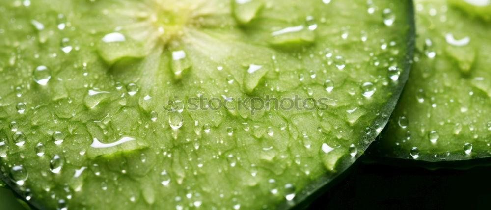 Similar – Waterdrops Wassertropfen