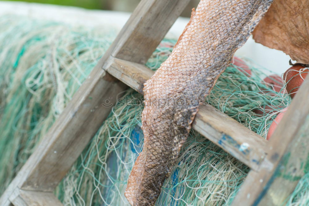 Image, Stock Photo Man working with fishing net