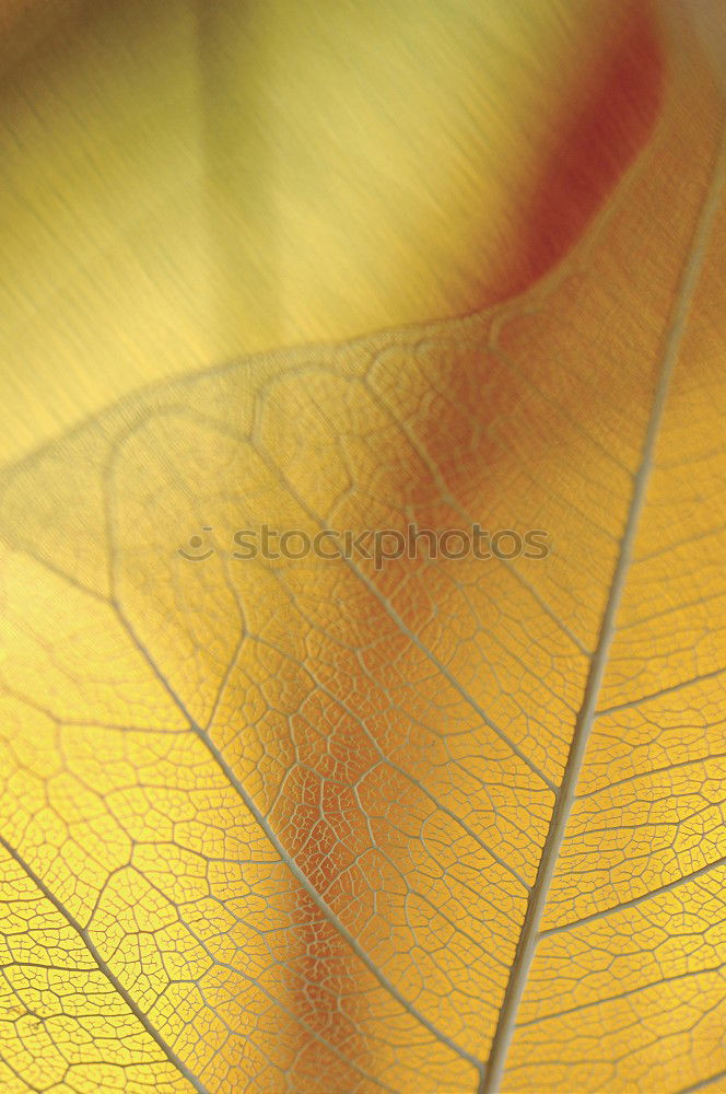 Similar – Image, Stock Photo stayed behind Environment