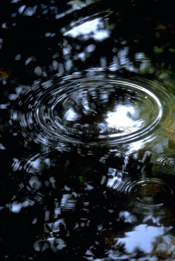 Similar – Image, Stock Photo solitary Subdued colour