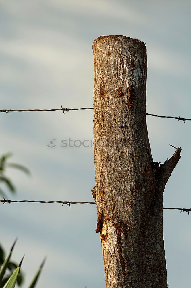 Similar – unattached Fence