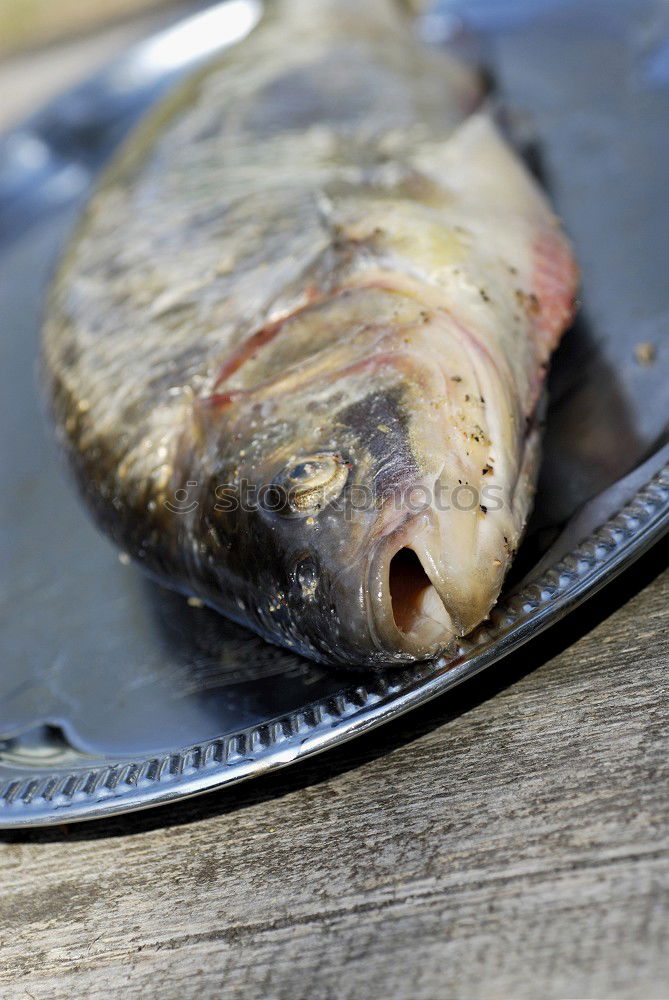 Similar – Image, Stock Photo Raw salmon fish on grill.