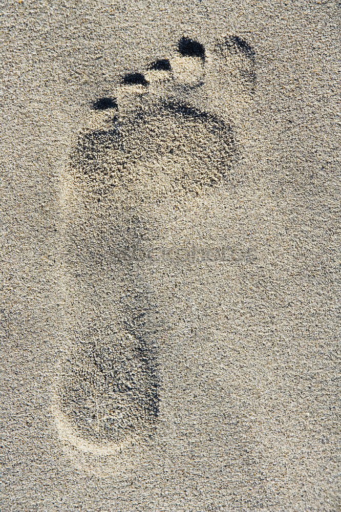 Image, Stock Photo barefoot Feet Wet Barefoot