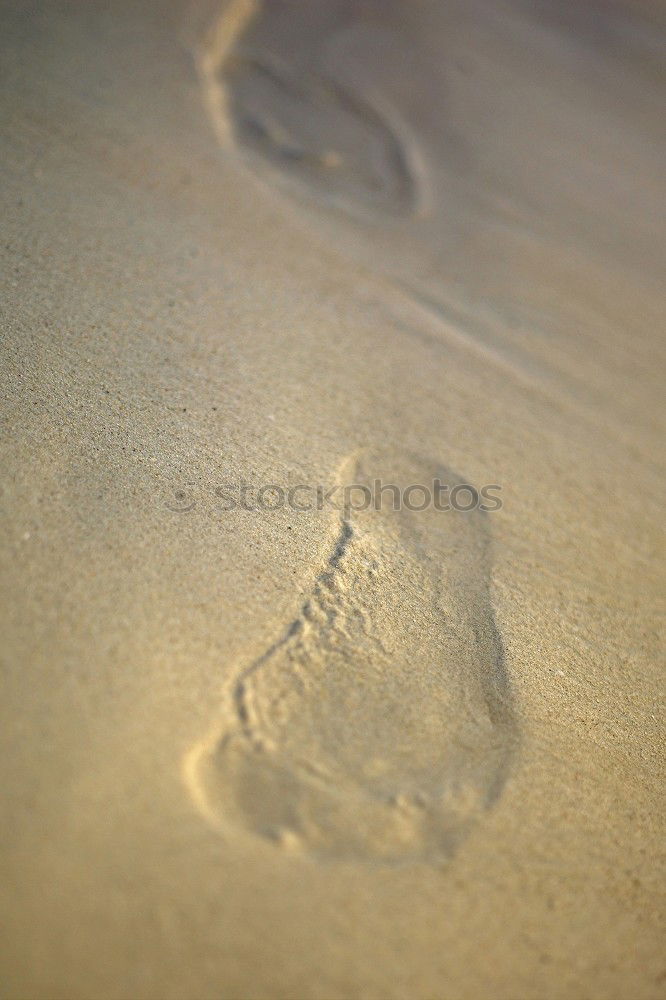 Similar – Image, Stock Photo Buffing Wheel II Nature