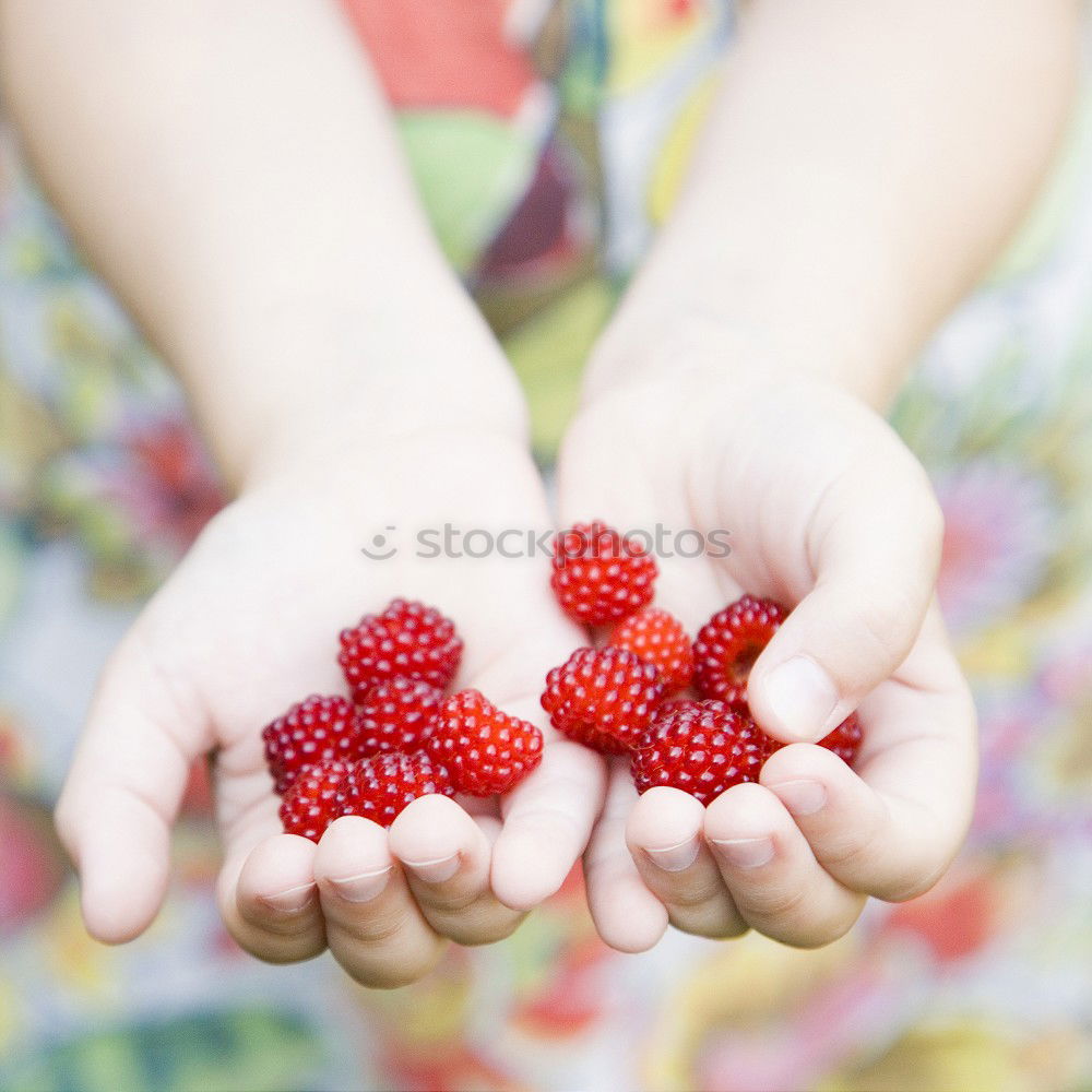 Similar – Girl enjoying eating the fresh blueberries outdoors