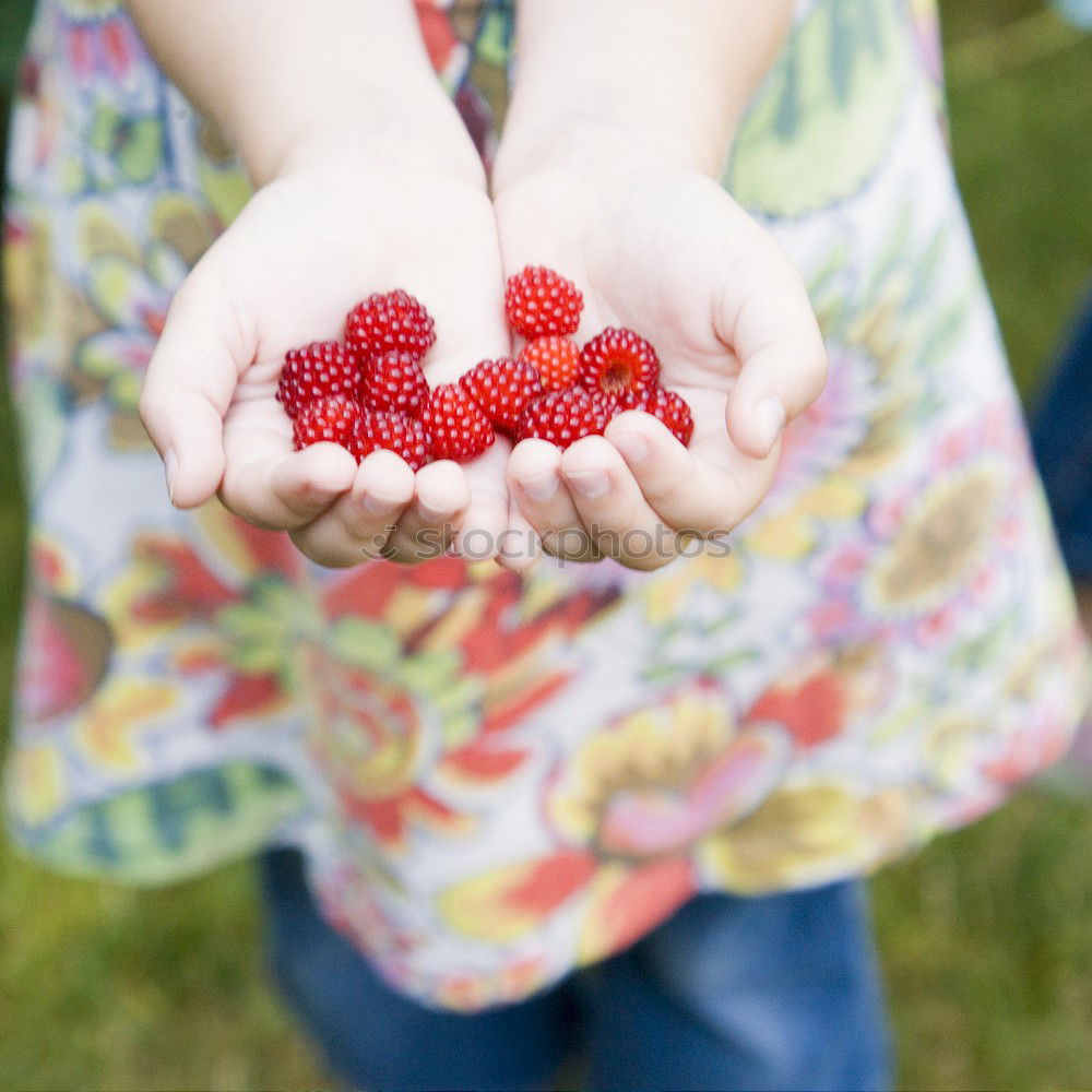 Similar – Girl enjoying eating the fresh blueberries outdoors