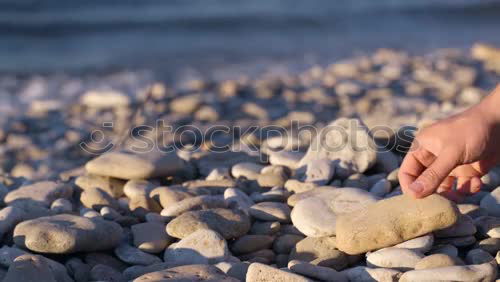 Similar – Image, Stock Photo stone collection Life