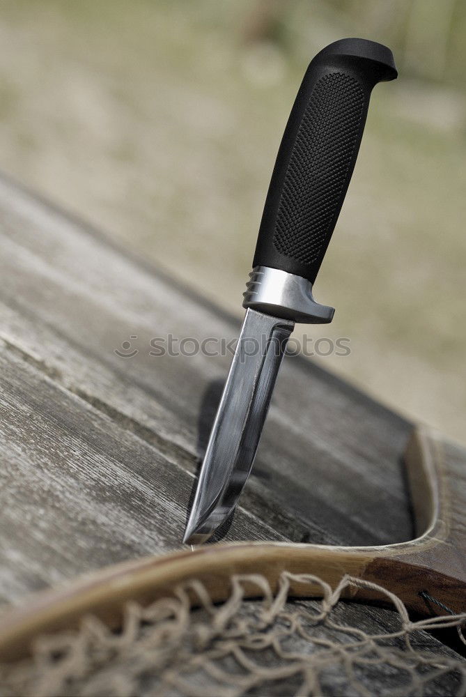 Similar – Knife lies on wooden board