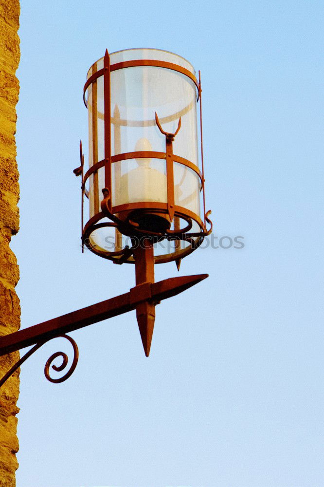 Similar – Image, Stock Photo Flying Rotations Pigeon