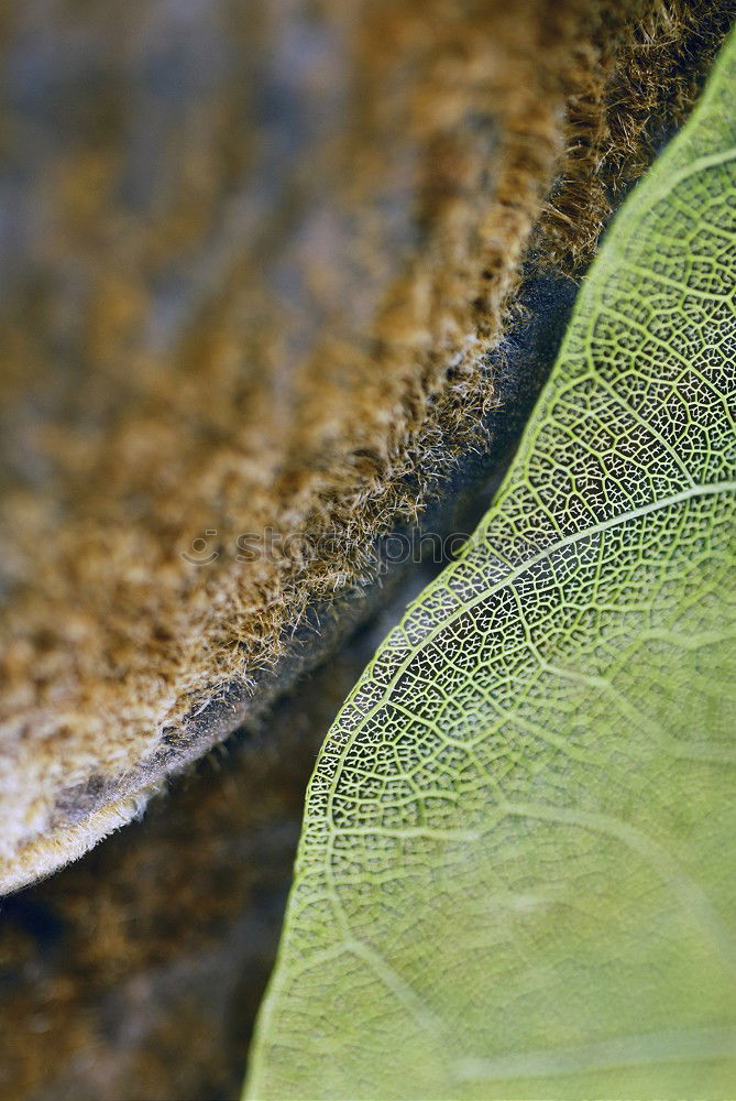 Similar – Foto Bild Wassertropfen Natur