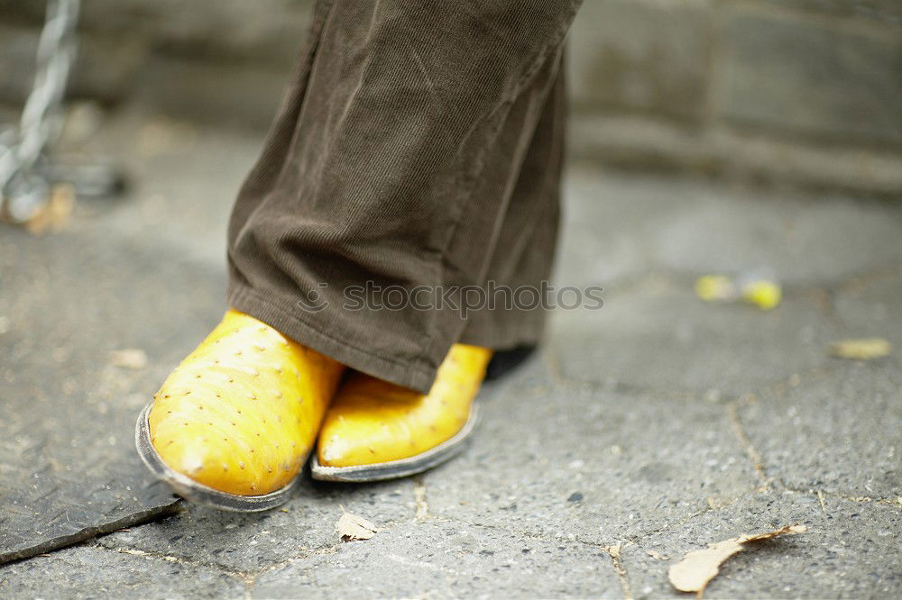 Similar – Image, Stock Photo foot street autumn arrow