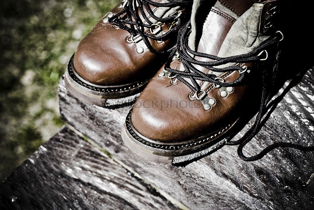 Image, Stock Photo Hiking adventure in the woods and forest