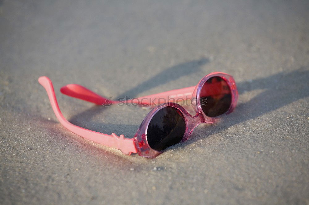 Similar – Image, Stock Photo On slender feet Flamingo