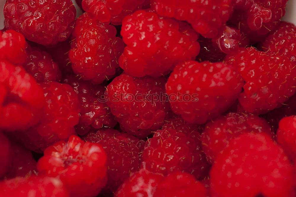 Similar – Himbeeren lecker süß