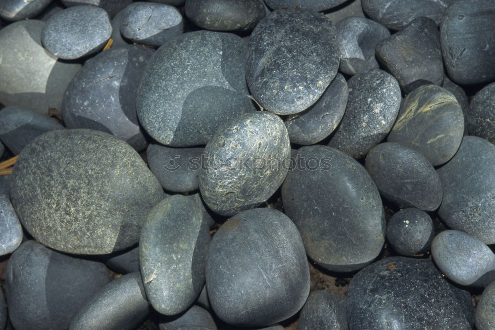 Similar – Image, Stock Photo pebble Pebble Gravel Stone