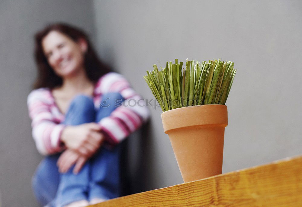 Similar – kid girl is hiding behind house plant in pot