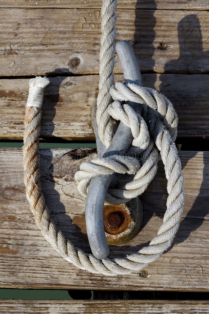 Similar – A tangle of fishing rope.