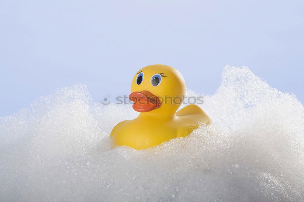 squeaky duck Bathtub Toys