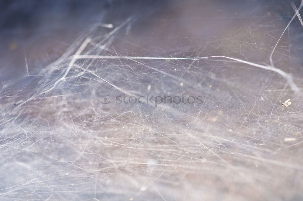 Similar – Image, Stock Photo abstract dandelion flower plant