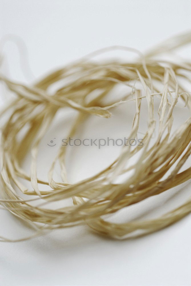 Similar – Image, Stock Photo Hand full of FALSCH gold jewellery