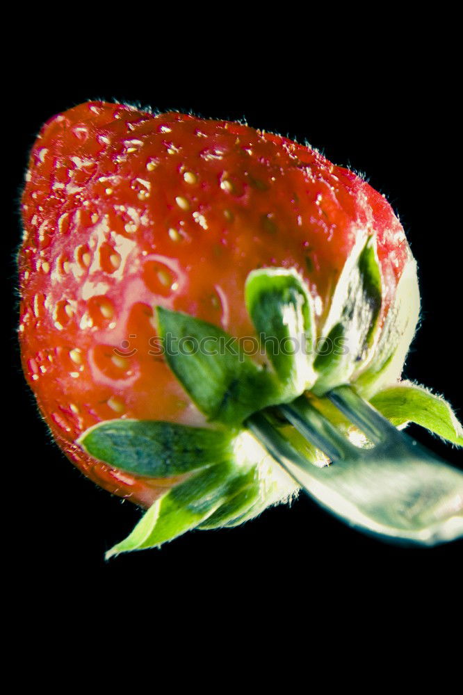 Similar – Strawberry Makroaufnahme