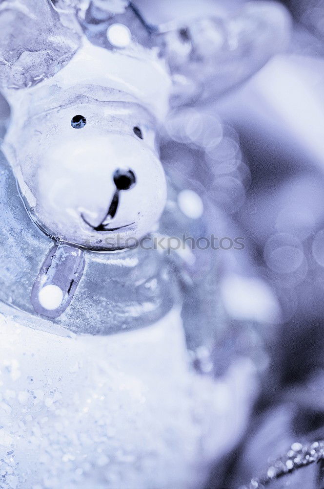 Similar – Image, Stock Photo Teddy Per in Iceland (2)