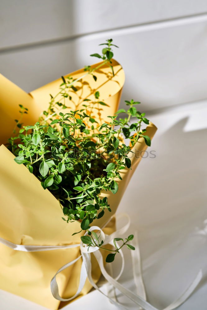 Similar – Image, Stock Photo paper bag with golden chanterelle and rosemary spice