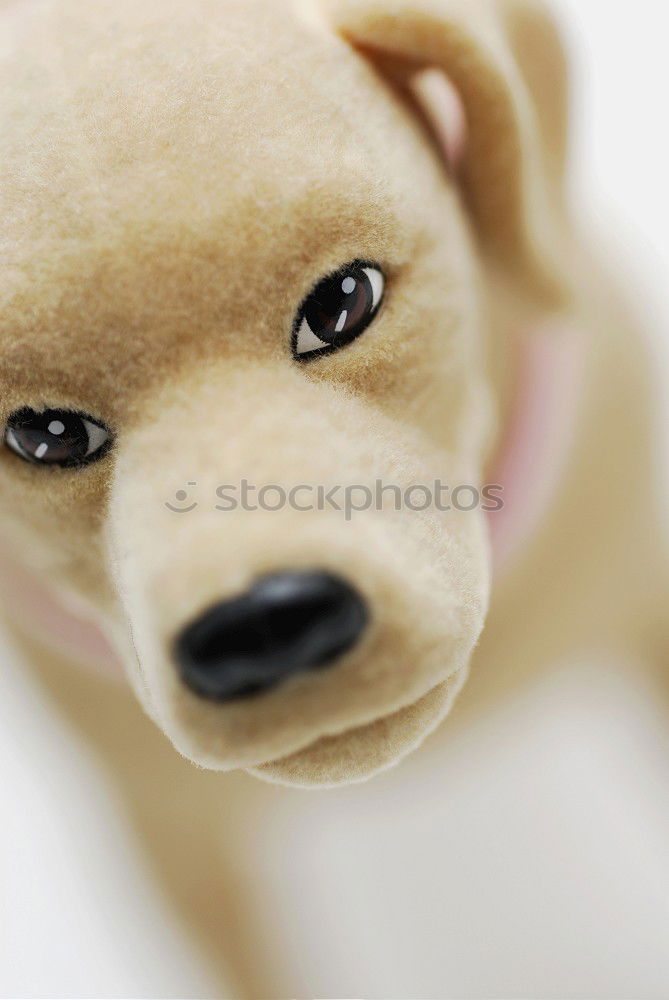 Similar – Image, Stock Photo Sleeping car (2) Child